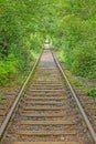 Image along a disused railroad line through a densely overgrown forest during the day