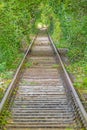 Image along a disused railroad line through a densely overgrown forest during the day