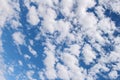 Cloud : Altocumulus floccus