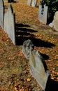 Image of American War of Independence graves seen in a famous Boston cemetery.