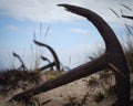 Image of an anchor embedded in the golden sand at a beach Royalty Free Stock Photo