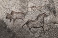 An image of ancient animals on a cave wall painted by an ancient man.