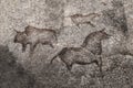 An image of ancient animals on a cave wall painted by an ancient man. Royalty Free Stock Photo