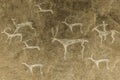 An image of ancient animals on the wall of a cave