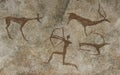 Wall cave with drawings of the primitive person.