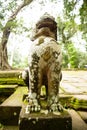 Image in Angkor Wat complex temple. Sculpture of dragon lion.