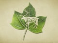 Image of animals plant punched into green leaf, silhouette of deer, Save the environment and wildlife concept, Hart