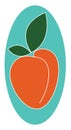 Image of apricot, vector or color illustration