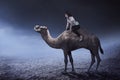 Image of asian business woman riding camel Royalty Free Stock Photo