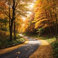 Autumn. Autumn forest. Forest with sunlight. Path in forest through trees with vivid colorful leaves. Royalty Free Stock Photo