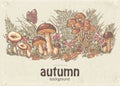 Image of autumn background with white mushrooms, chanterelles and oyster mushrooms