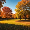 Autumn, fall landscape with a tree full of colorful, falling leaves, sunny blue sky. Wide perspective, panorama. Royalty Free Stock Photo