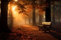 Image Autumn forest in fog, sunbeams filtering through, serene nature scene