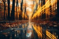 an image of an autumn forest with long streaks of light