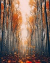 an image of an autumn forest with trees and leaves blowing in the wind Royalty Free Stock Photo