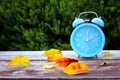 Image of autumn Time Change. Fall back concept. Dry leaves and vintage alarm Clock on wooden table outdoors at afternoon