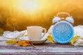 Image of autumn Time Change. Fall back concept. Dry leaves and vintage alarm Clock on wooden table outdoors at afternoon