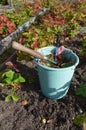 Autumn work in the country to clean the beds