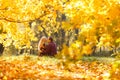 Image from back of couple in love in woods Royalty Free Stock Photo