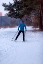 Image from back of male skier in blue jacket in winter forest Royalty Free Stock Photo