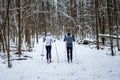 Image from back of sports woman and man skiing in winter forest