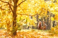 Image from back of young couple in love in woods Royalty Free Stock Photo