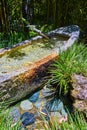 Bamboo around Shishi odoshi stone canoe with colorful cobblestones in Japanese Tea Garden