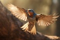 Image of barn swallow is flying in the forest. Birds., Wildlife Animals