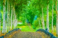 The image of a barn wood tunnel