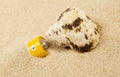 Image of battery seashell sand background