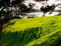 An image of Bay Of Plenty view from Mount Maunganui New Zealand Royalty Free Stock Photo
