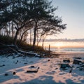 The Dead Tree Boneyard Beach Florida 5 is a dramatic coastal nature photograph o...