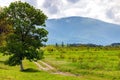 Image of a beautiful alone tree with big crown in spring and dirt road in mountains with clouds on background Royalty Free Stock Photo