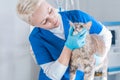 Image of a beautiful blonde nurse in a surgical suit. Examination of the teeth in the clinic. Veterinary medicine. Dentistry