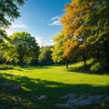 A beautiful bright colorful spring landscape with trees in Park, juicy fresh gre...