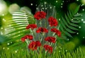 image of beautiful bright festive flowers on a green blurred background Royalty Free Stock Photo