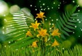 image of beautiful bright festive flowers on a green blurred background Royalty Free Stock Photo