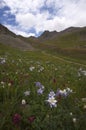 Image of beautiful Colorado mountain landscape Royalty Free Stock Photo