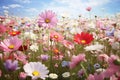 Image of beautiful fields of colorful flowers. Nature