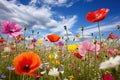 Image of beautiful fields of colorful flowers. Nature