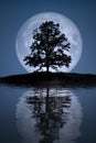 Full moon with tree lake reflections