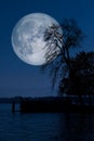 Full moon with tree lake reflections