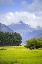 Beautiful landscape scenery at south island of New Zealand Royalty Free Stock Photo