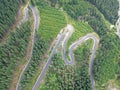 The image of a beautiful mountain road. Many conifers along the road. Photo taken in a summer day, from high height