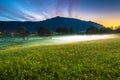 Spring Landscape with A Meadow of Yellow Buttercups, Trees Covered in Fog and Mountain at Twilight Royalty Free Stock Photo