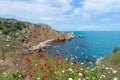 An Image of Beautiful Seascape from North Coastline of Black Sea, Bulgaria. Blooming herbes in Kamen Bryag Royalty Free Stock Photo