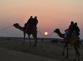 This is an image of beautiful sunset point or evening sun in thar desert rajasthan