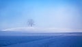 beautiful winter scenery with a tree Royalty Free Stock Photo