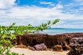 Image of beautyful sky and sea. Focus point on the green leaf.