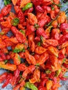 Image of bhoot jolokia also known as ghost jolokia peppers p Royalty Free Stock Photo